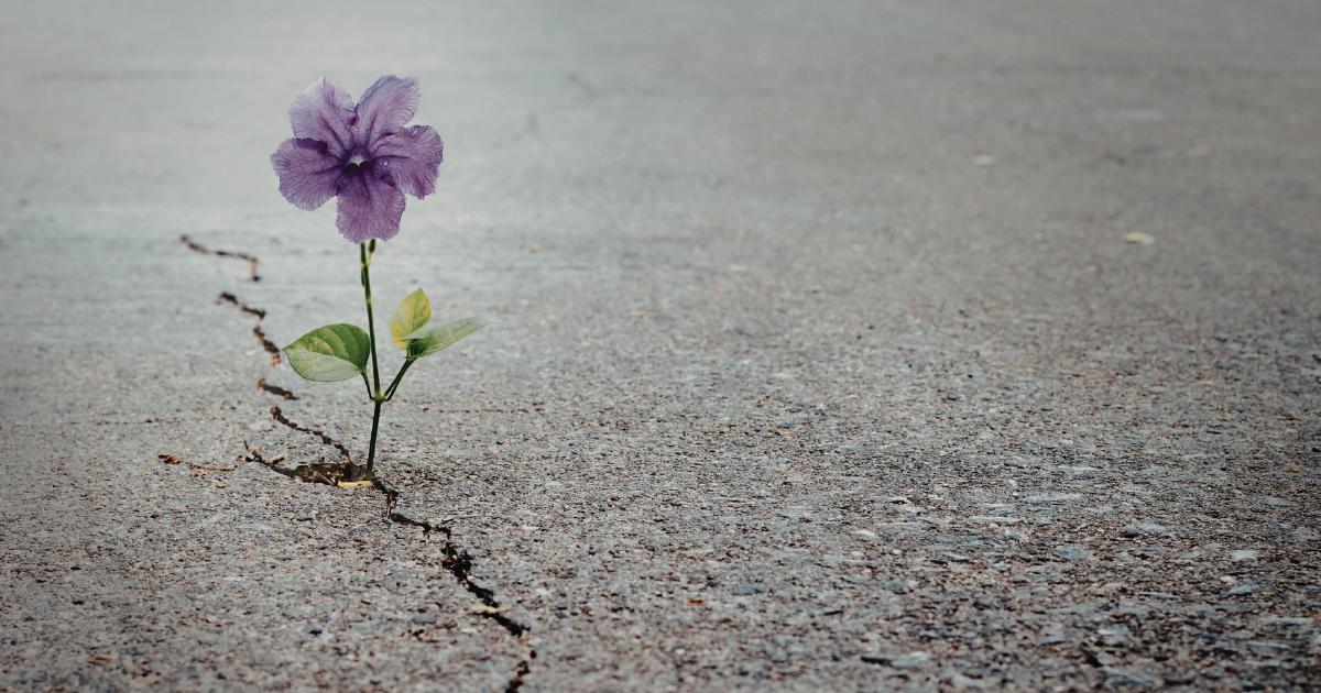 Mudança de Comportamento: O Hábito da Resiliência na Matemática